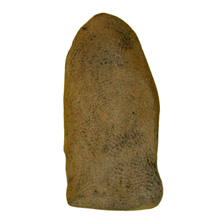 AML6611080028 พระรอดพิมพ์ใหญ่ วัดมหาวัน เนื้อดิน AML6611080028 พระรอดพิมพ์ใหญ่ วัดมหาวัน เนื้อดิน