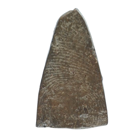 AML6612090032 พระผงสุพรรณ เนื้อดิน AML6612090032 พระผงสุพรรณ เนื้อดิน