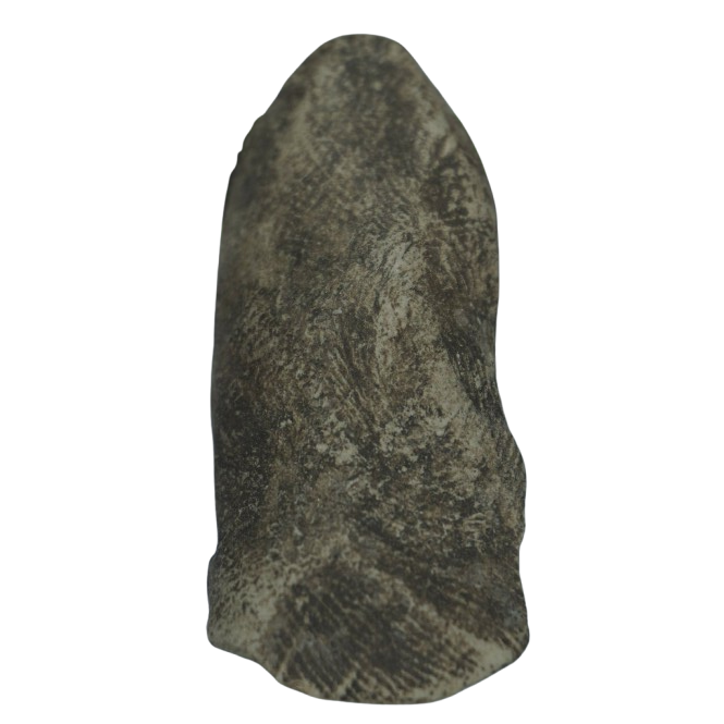 AML6612090033 พระรอดมหาวัน เนื้อขาว AML6612090033 พระรอดมหาวัน เนื้อขาว