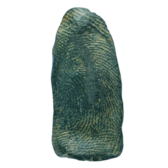 AML6704010044 พระรอด กรุวัดมหาวัน พิมพ์กลาง เนื้อดำ AML6704010044 พระรอด กรุวัดมหาวัน พิมพ์กลาง เนื้อดำ