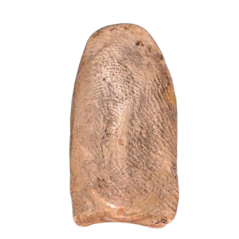 AML6708200017 พระรอด มหาวัน พิมพ์กลาง เนื้อดิน AML6708200017 พระรอด มหาวัน พิมพ์กลาง เนื้อดิน