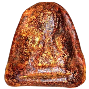 AML6708230014 พระปิดตาหลวงพ่อแก้ว วัดเครือวัลย์ พิมพ์กลาง เนื้อว่าน AML6708230014 พระปิดตาหลวงพ่อแก้ว วัดเครือวัลย์ พิมพ์กลาง เนื้อว่าน