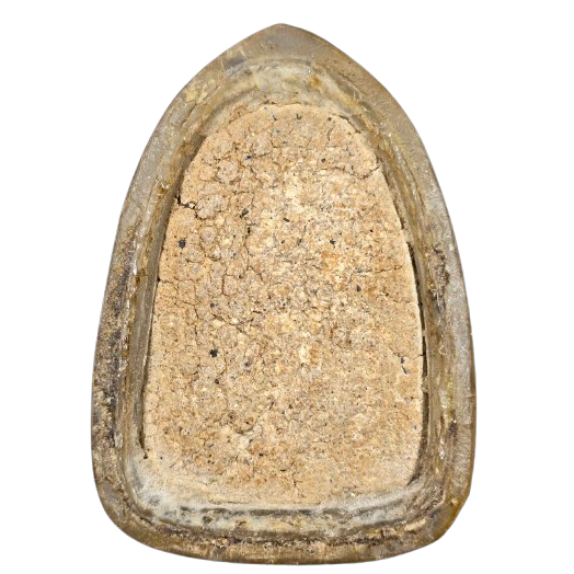 AML6709030171 พระยอดขุนพล จัมโบ้ วัดพระศรีอารย์   ปี 2500 เนื้อผง 