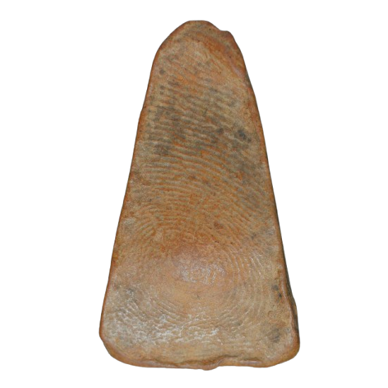 AML6710010736 พระผงสุพรรณ เนื้อดิน AML6710010736 พระผงสุพรรณ เนื้อดิน