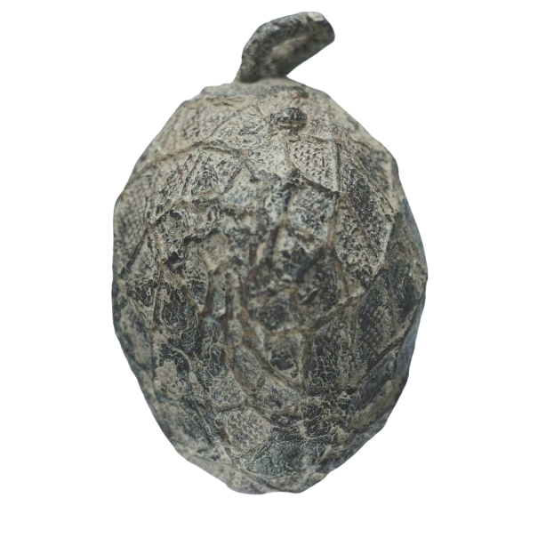 AML6710020833 เบี้ยแก้ หลวงปู่รอด วัดนายโรง ลงรักถักเชือกเก่า (ยุคต้น) AML6710020833 เบี้ยแก้ หลวงปู่รอด วัดนายโรง ลงรักถักเชือกเก่า (ยุคต้น)