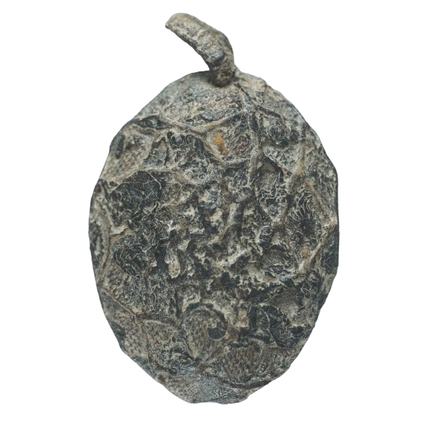 AML6710020833 เบี้ยแก้ หลวงปู่รอด วัดนายโรง ลงรักถักเชือกเก่า (ยุคต้น) AML6710020833 เบี้ยแก้ หลวงปู่รอด วัดนายโรง ลงรักถักเชือกเก่า (ยุคต้น)