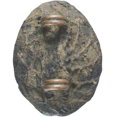 AML6710050971 เบี้ยแก้หลวงปู่รอด วัดนายโรง AML6710050971 เบี้ยแก้หลวงปู่รอด วัดนายโรง