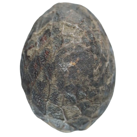 AML6710050971 เบี้ยแก้หลวงปู่รอด วัดนายโรง AML6710050971 เบี้ยแก้หลวงปู่รอด วัดนายโรง