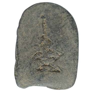 AML6710081012 พระพิมพ์เศียรโล้น หลวงปู่บุญ วัดกลางบางแก้ว เนื้อชานหมาก AML6710081012 พระพิมพ์เศียรโล้น หลวงปู่บุญ วัดกลางบางแก้ว เนื้อชานหมาก