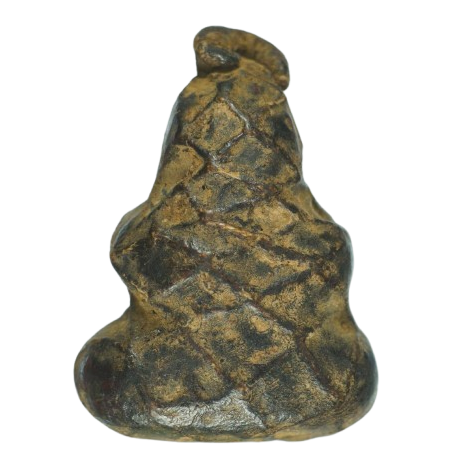 AML6710251575 พระปิดตาหลวงปู่เอี่ยม วัดสะพานสูง พิมพ์ตะพาบ เนื้อผง AML6710251575 พระปิดตาหลวงปู่เอี่ยม วัดสะพานสูง พิมพ์ตะพาบ เนื้อผง