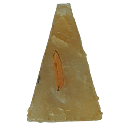 AML6801080068 พระผงสุพรรณ หลังฝังเม็ดข้าวทิพย์ พิธีแรกนาขวัญ วัดพระแก้ว ปี 2503 เนื้อเทียนชัย AML6801080068 พระผงสุพรรณ หลังฝังเม็ดข้าวทิพย์ พิธีแรกนาขวัญ วัดพระแก้ว ปี 2503 เนื้อเทียนชัย