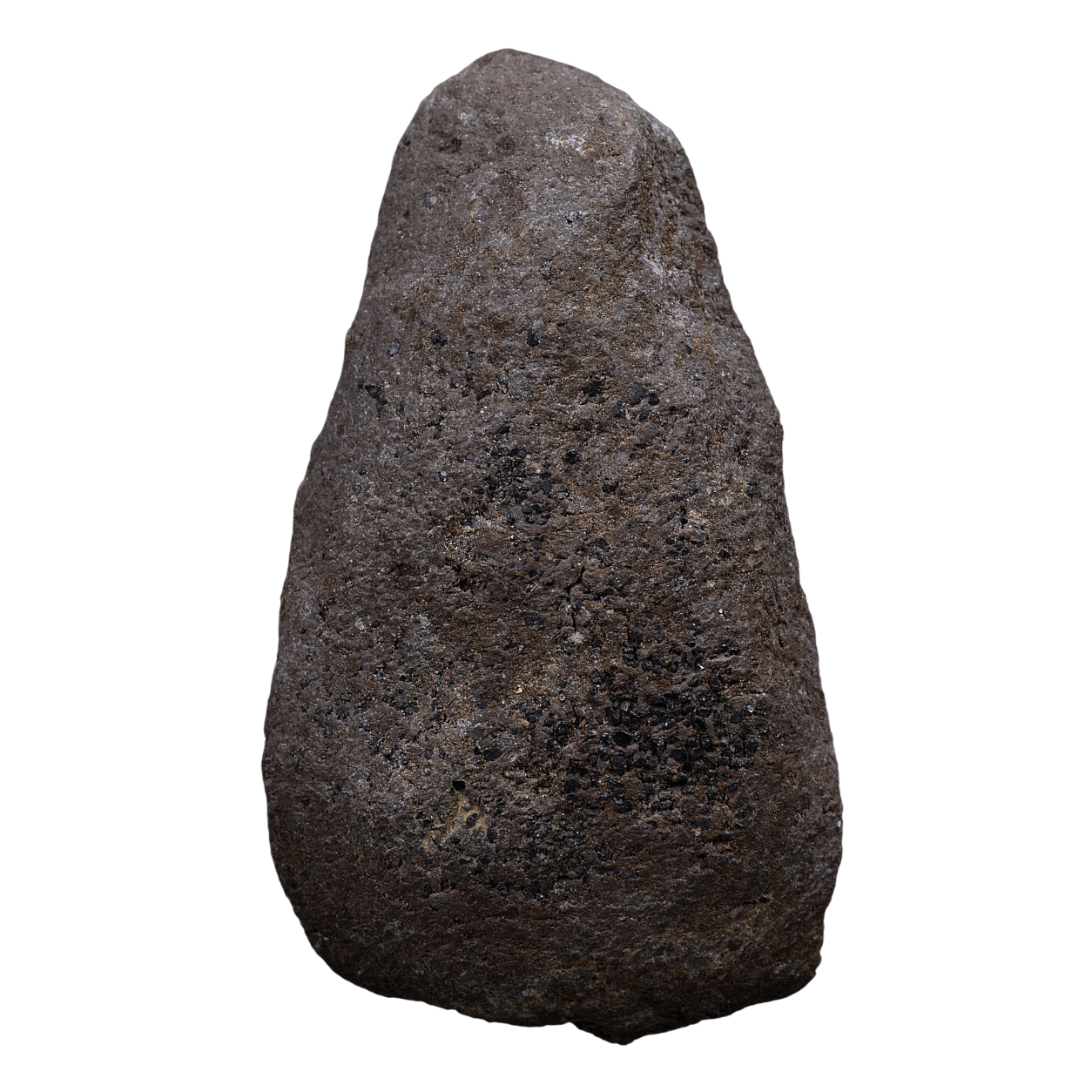 AML68071917004 หลวงปู่ทวด วัดช้างให้ พิมพ์ชะลูด ปี 2497 เนื้อว่าน AML68071917004 หลวงปู่ทวด วัดช้างให้ พิมพ์ชะลูด ปี 2497 เนื้อว่าน