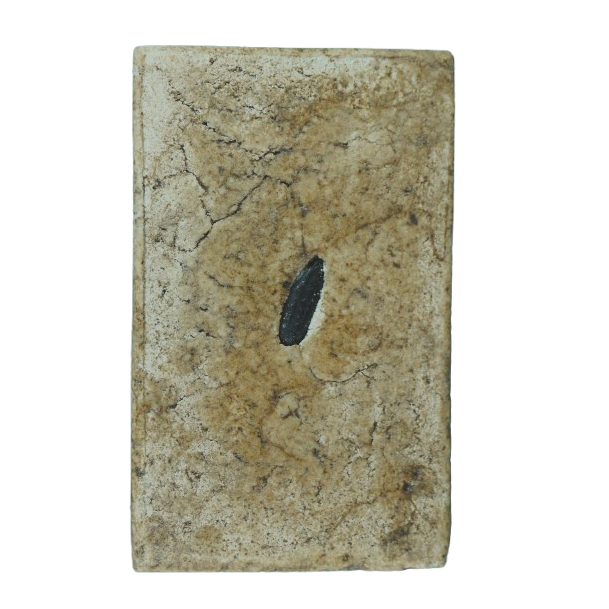 AML68073117304 พระสมเด็จขาโต๊ะ หลวงปู่โต๊ะ วัดประดู่ฉิมพลี เนื้อปูนเปลือกหอย หลังฝังข้าวดำ AML68073117304 พระสมเด็จขาโต๊ะ หลวงปู่โต๊ะ วัดประดู่ฉิมพลี เนื้อปูนเปลือกหอย หลังฝังข้าวดำ