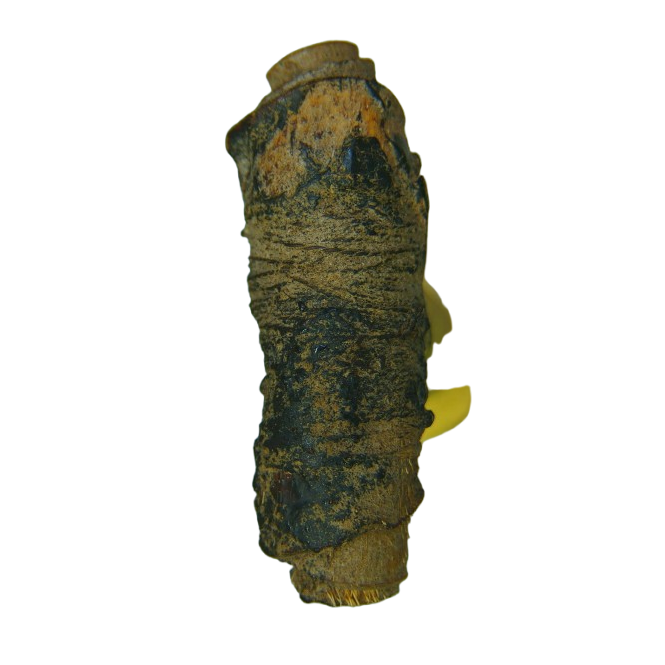 AML68120519969 ตะกรุดหลวงพ่อจง วัดหน้าต่างนอก ปี2495 AML68120519969 ตะกรุดหลวงพ่อจง วัดหน้าต่างนอก ปี2495